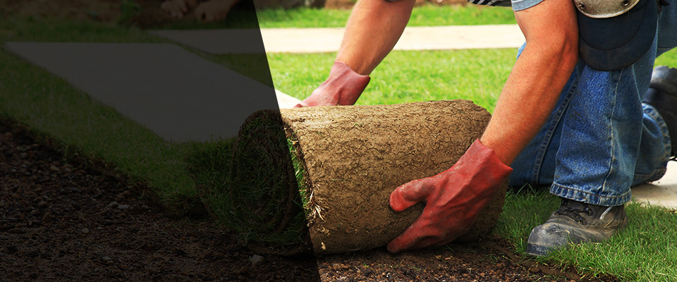 Florham Park Landscapers